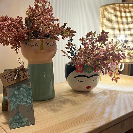 Pis Amb Molt D'Encant Al Centre D'オロト エクステリア 写真